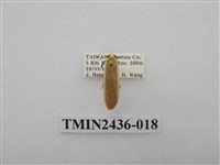 藏品(黃緣苔蛾)的圖片